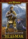 Ведьмак Фантастический роман