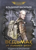 Ведьмак из Большого Киева Родина безразличия Повести и рассказы  Владимир Васильев