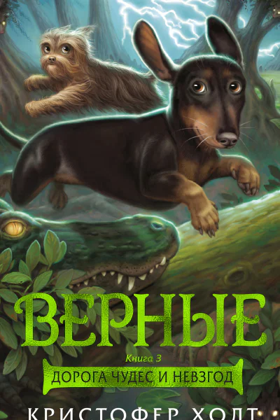 Верные Книга 3 Дорога чудес и невзгод