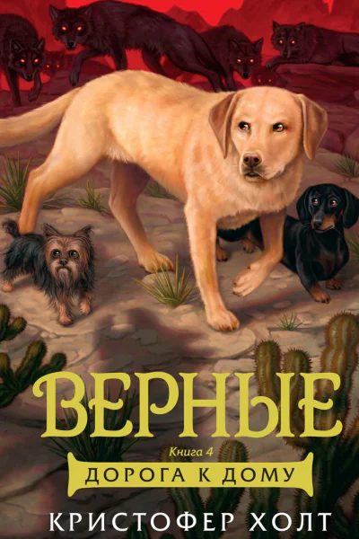 Верные Книга 4 Дорога к дому