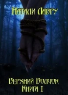 Верхний Волчок Книга 1 СИ