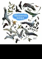 Весеннее небо