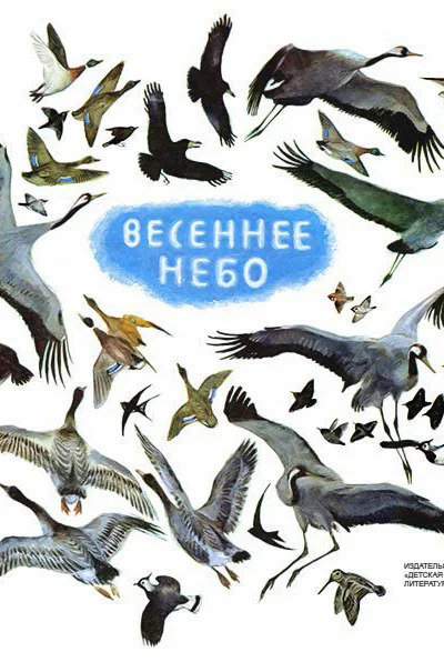 Весеннее небо