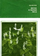 Весна в жизни леса