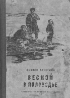 Весной в половодье