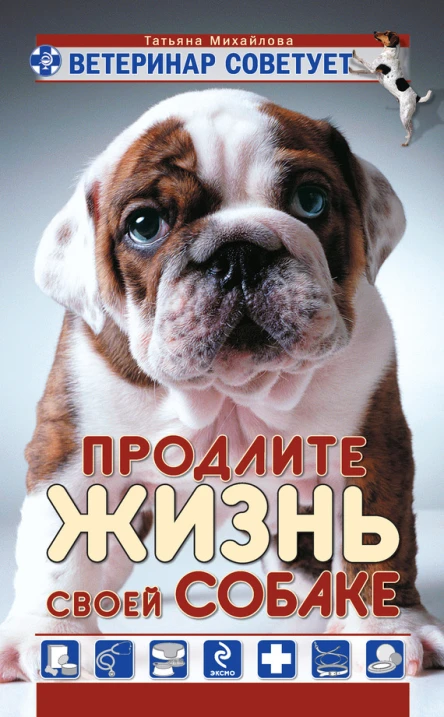 Ветеринар советует Продлите жизнь своей собаке  Татьяна Михайлова