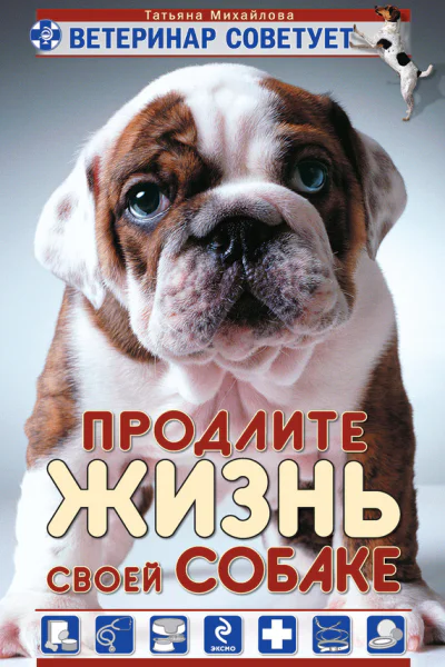 Ветеринар советует Продлите жизнь своей собаке