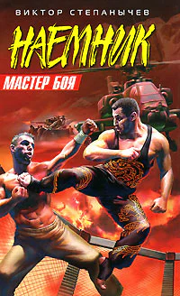 Виктор Степанычев Мастер боя