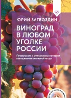 Виноград в любом уголке России Проверенная и эффективная методика выращивания капризной ягоды
