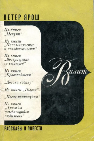 Визит Рассказы и повести