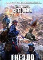 Владимир Свержин Гнездо Седого Ворона