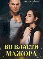 Во власти мажора