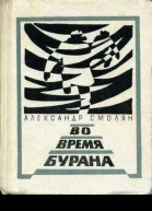 Во время бурана