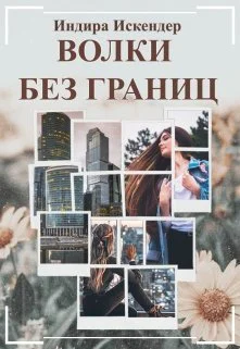 Волки без границ СИ