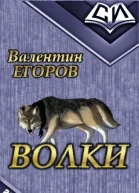 Волки СИ
