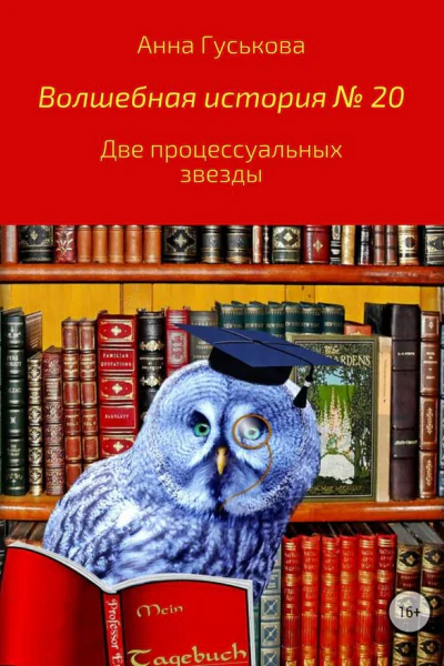 Волшебная история  20 Две процессуальных звезды