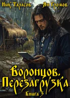 Воронцов Перезагрузка Книга 3