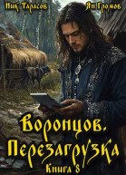 Воронцов Перезагрузка Книга 8