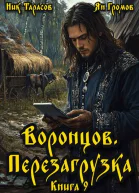 Воронцов Перезагрузка Книга 9