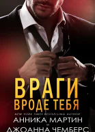 Враги вроде тебя ЛП