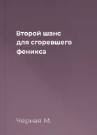 Второй шанс для сгоревшего феникса