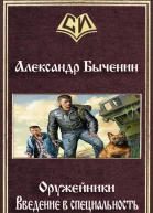 Введение в специальность СИ