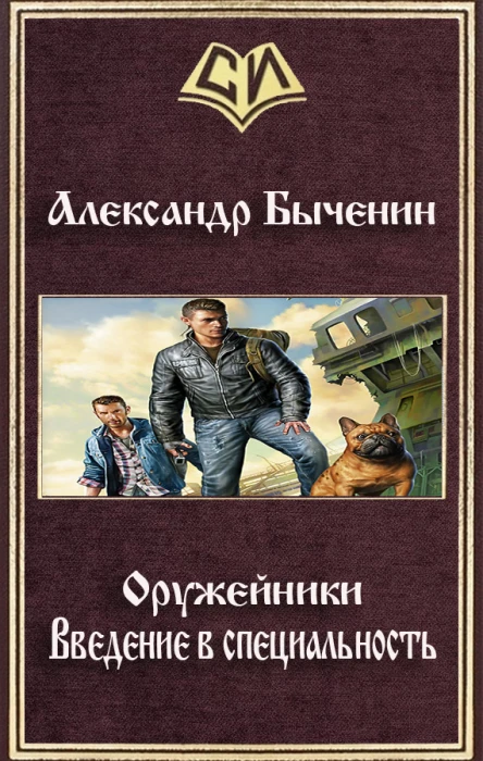 Введение в специальность СИ