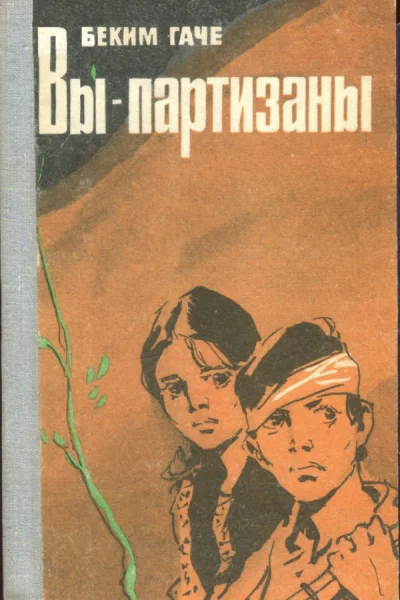 Вы  партизаны