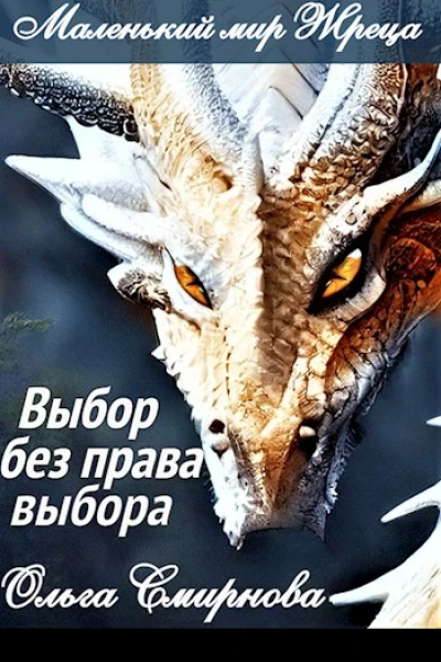 Выбор без права выбора