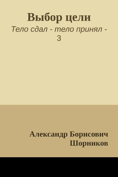Выбор цели