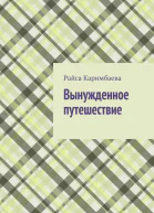 Вынужденное путешествие