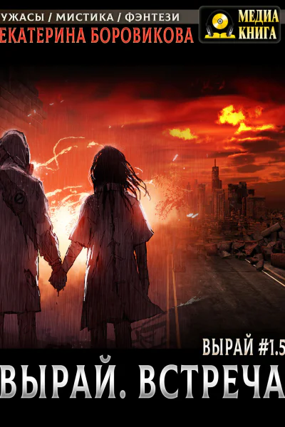 Вырай 15 Встреча