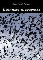 Выстрел по воронам