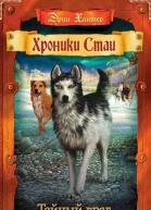 Хантер Э Тайный враг