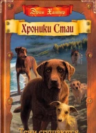 Хантер Э Тени сгущаются