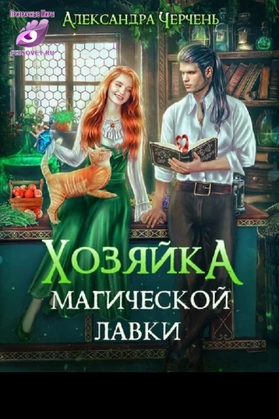 Хозяйка магической лавки