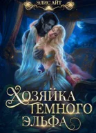 Хозяйка темного эльфа