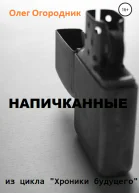 Хроники будущего Напичканные