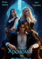 Хрономаг на турнире книга 3