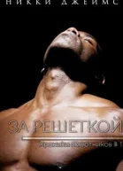 За решеткой