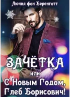Зачетка или с Новым Годом Глеб Борисович Книга 1