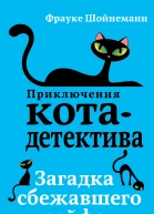 Загадка сбежавшего сейфа  Фрауке Шойнеманн