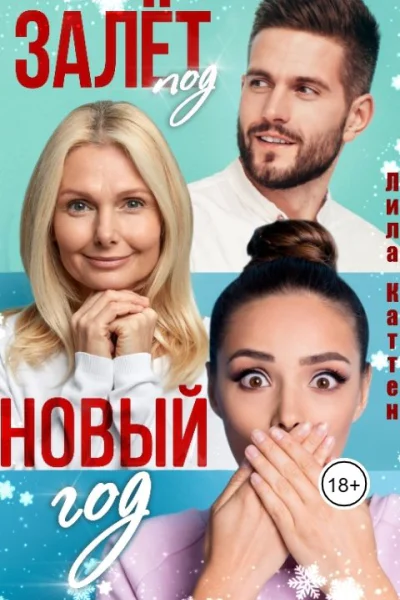 Залет под Новый год