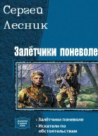 Залётчики поневоле Дилогия СИ