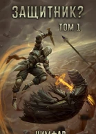 Защитник Том 1