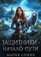 Защитники  начало пути СИ