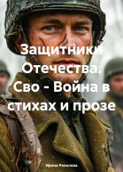 Защитники Отечества Сво  Война в стихах и прозе