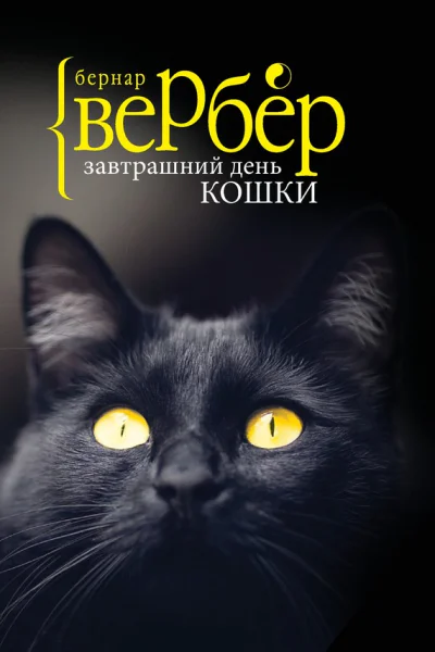 Завтрашний день кошки