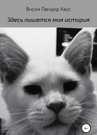 Здесь пишется моя история