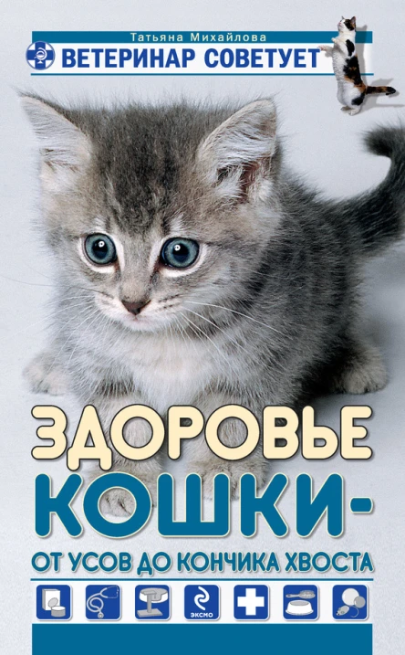 Здоровье кошки от усов до кончика хвоста  Т Михайлова
